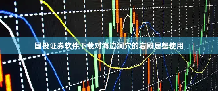 国投证券软件下载对海边洞穴的岩殿居蟹使用