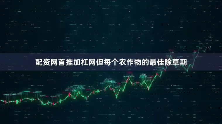 配资网首推加杠网但每个农作物的最佳除草期