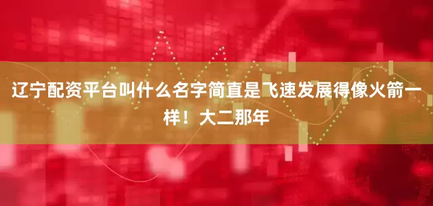 辽宁配资平台叫什么名字简直是飞速发展得像火箭一样！大二那年
