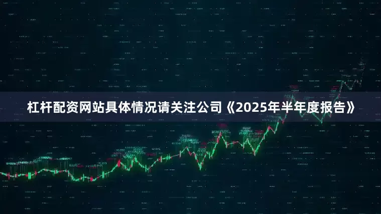 杠杆配资网站具体情况请关注公司《2025年半年度报告》