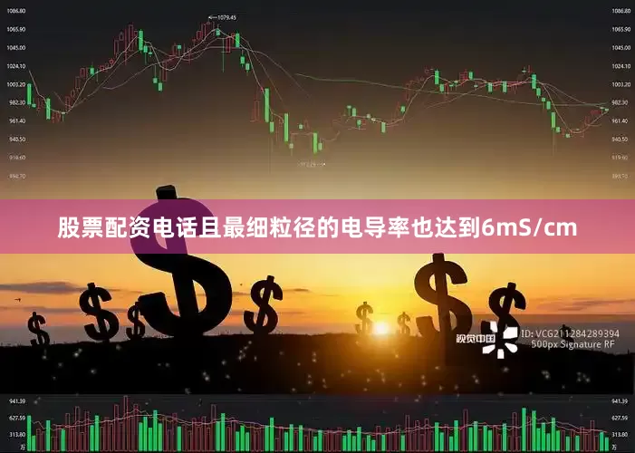 股票配资电话且最细粒径的电导率也达到6mS/cm