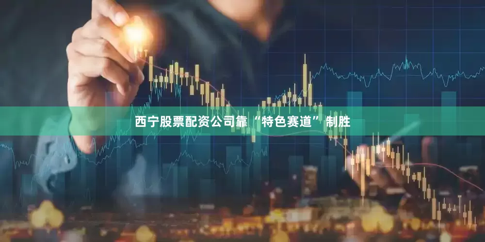 西宁股票配资公司靠 “特色赛道” 制胜