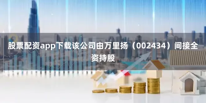 股票配资app下载该公司由万里扬（002434）间接全资持股