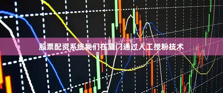 股票配资系统我们在厦门通过人工授粉技术