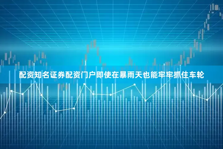 配资知名证券配资门户即使在暴雨天也能牢牢抓住车轮