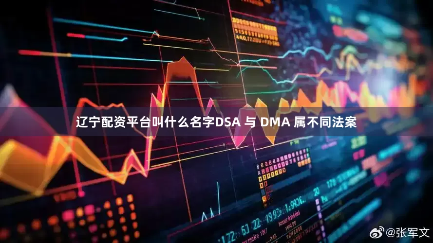 辽宁配资平台叫什么名字DSA 与 DMA 属不同法案